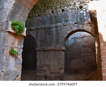 Intersecting arches and heavy pillars frame a dim chamber where moisture-stained walls testify to centuries of stored water.