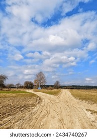 the intersection of dirt roads in front of the forest