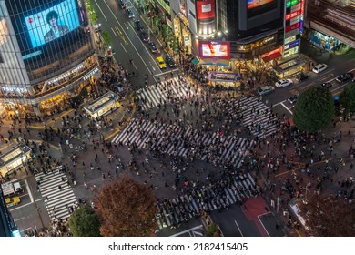 Intersection At Shibuya Station In Tokyo, Japan, Asia 9Dec2018