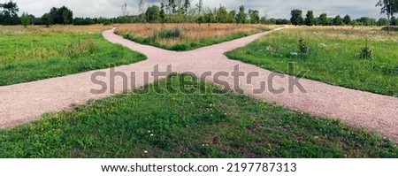The intersection of wide sandy pedestrian paths among grass, flowers and young trees in an open field. Conceptual landscape.