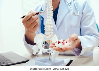The intervertebral disc is a cushion-like structure between vertebrae in the spine, composed of a tough outer layer and a gel-like center, providing flexibility and absorbing spinal shock.