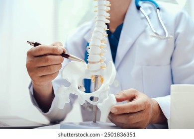 The intervertebral disc is a cushion-like structure between vertebrae in the spine, composed of a tough outer layer and a gel-like center, providing flexibility and absorbing spinal shock. - Powered by Shutterstock