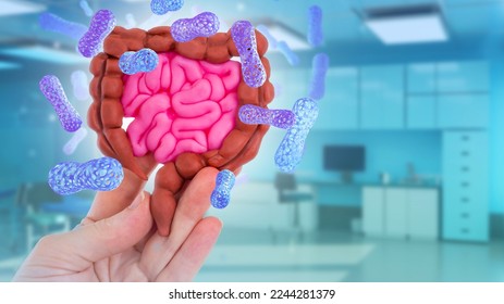 Intestinal tract with probiotics. Model of digestive system. Intestinal tract in hand. Lactobacillus cells for digestive system. Visual model of intestinal tract. Blurred gastroenterologists office - Shutterstock ID 2244281379