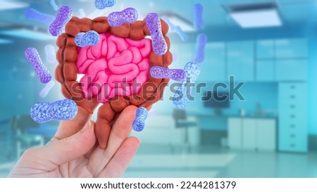 Intestinal tract with probiotics. Model of digestive system. Intestinal tract in hand. Lactobacillus cells for digestive system. Visual model of intestinal tract. Blurred gastroenterologists office