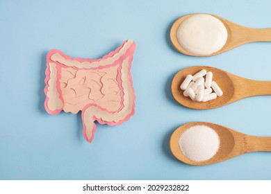 Intestine Decorative Model With Various Nutritional Supplements. Healthy Digestion Concept, Probiotics And Prebiotics For Microbiome Intestine. Top View