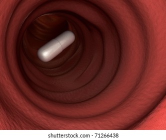 Intestine With Flying Inside The Capsule