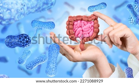Intestine in hands. Microbiome of digestive system. Probiotic treatment. Probiotic cells for immunity. Digestive health. Studying action of probiotics. Microflora of intestinal tract