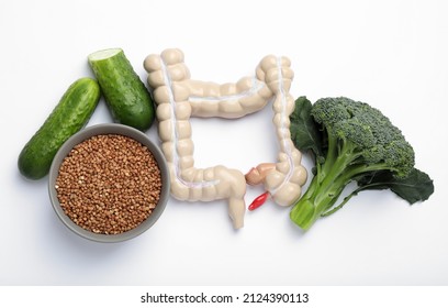 Intestine Model And Products To Help Digestion On White Background, Top View