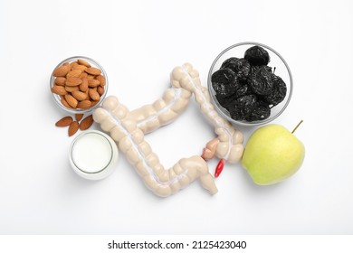 Intestine Model And Products To Help Digestion On White Background, Top View