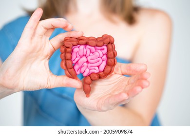 Intestines in hands of woman. Girl demonstrates intestines. Gastrointestinal tract. Concept is taking care of intestines. Caring for gastrointestinal tract. Blurred girl in background.