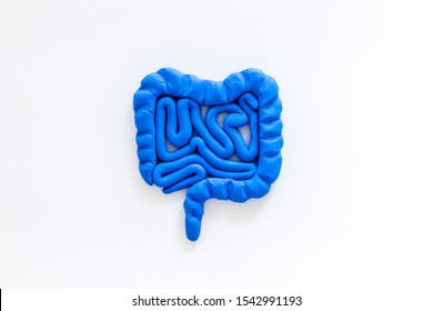 Intestines health. Guts on white background top view copy space