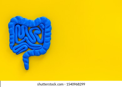 Intestines Health. Guts On Yellow Background Top View Space For Text