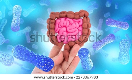 Intestines of person with probiotics. Useful bacteria around digestive system. Model of intestines in hand. Probiotics to protect property. Use of good microbes in media. Probiotics vitamins