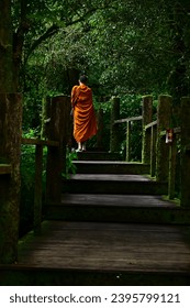 inthanonnational park thailand, a budhist monk walkin the path