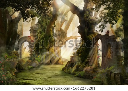 into the deep woods, atmospheric landscape with archway and ancient trees, misty and foggy mood