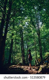 Into the wild