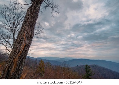 Into The Winter. Shenandoah Nationl Park