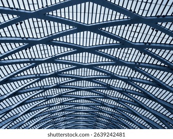 Intricate Architectural Ceiling with Interwoven Patterns and Textures  