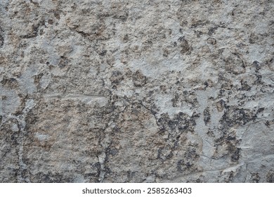 Intricate patterns emerge from a weathered stone wall under natural light.