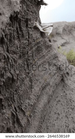 Intricate patterns on volcanic ash or compacted earth, showcasing natural textures. Perfect for geology enthusiasts and abstract art lovers. Explore raw earth. #VolcanicAsh #EarthTextures