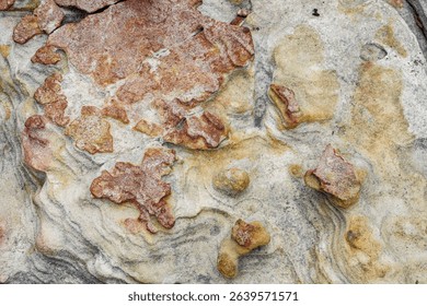 Intricate Patterns of Weathered Sandstone Rock with Natural Colors. It displaying beautiful, intricate natural patterns, textures, earthy color variations, perfect for background or abstract designs.