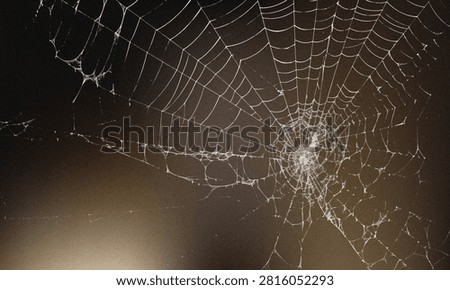 Intricate spider web pattern on dark background with entangled, background