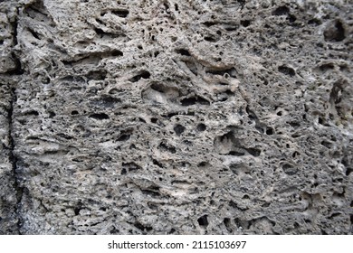Intricate Stone Wall Texture Photo.