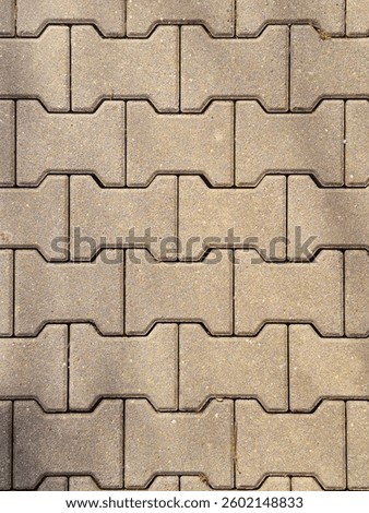 Intricate Textured Interlocking Pavement Pattern Specifically Designed for Urban Spaces and Areas