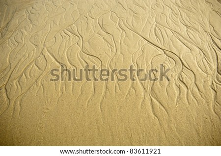 Similar – beach shapes Sand Beach