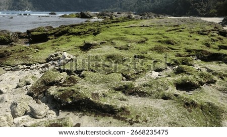 Intriguing formations shape the receding beach.