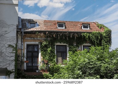 An intriguing structure in Bucharest displays an abundance of climbing plants, with vibrant green foliage enveloping the building against a cloudless sky.