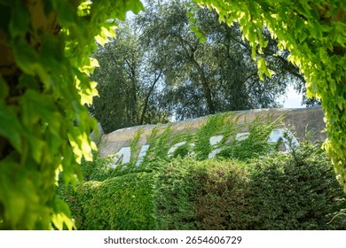 An intriguing view of a weathered structure partially covered in lush green ivy, with the faded word 