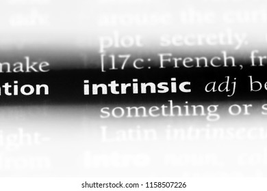 Intrinsic Word Dictionary Intrinsic Concept Stock Photo 1158507226 ...