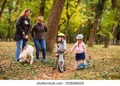 Introducing cute dog to a lovely preschool girl