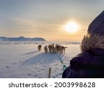 Inuit hunter on dog sled on the sea ice of the Melville Bay near Kullorsuaq in North Greenland.