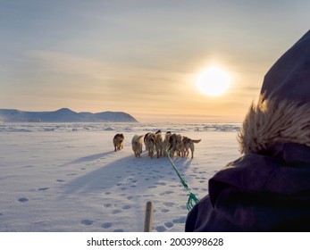 Inuit Hunter On Dog Sled On The Sea Ice Of The Melville Bay Near Kullorsuaq In North Greenland.