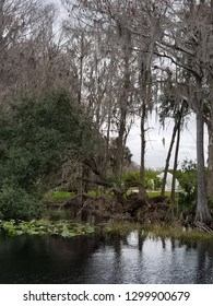 Inverness Florida Lakes