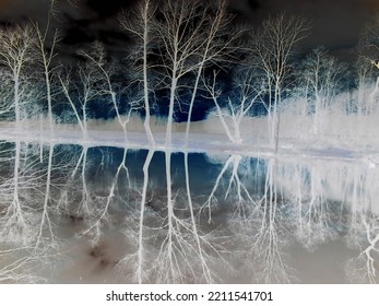 Inverted colors - Beautiful snowless winter scene at partially frozen pond with bare trees and red clouds mirroring in the water surface during evening.