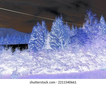 Inverted Colors - Countryside Nature Scene. Roof Visible Among Trees. Variable Height Trees And Hills In The Background.