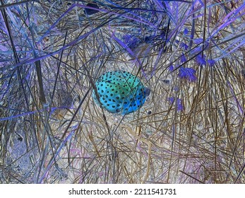 Inverted colors - Poisonous amanita muscaria fungus among dry grass. Autumn scene with dangerous mushroom and spruce sapling, distant view.