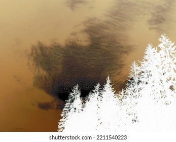 Inverted Image - Evening Sky Scene With Dark Forests And Setting Sun Covered By Sparse Cirrostratus Cloud Resembling A Rabbit Head. Abstract Sky Scene.