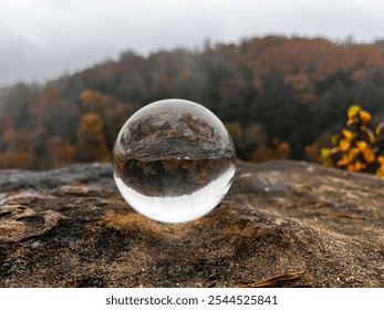 The inverted reflection inside the crystal ball contrasts beautifully with the soft, natural tones of the forest, creating a mystical and immersive nature scene.
