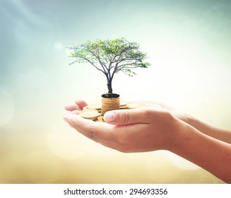 Invest And Fund Concept. Human Hands Holding Big Tree And Stacks Of Golden Coins On Blurred Green Nature Background