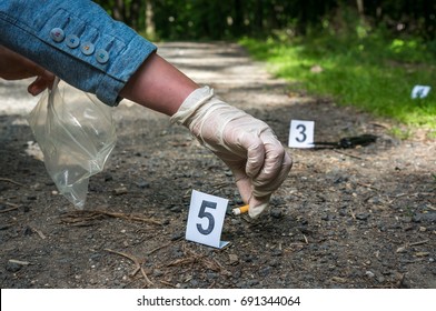 Investigator Collects Evidence Cigarette Butt Crime Stock Photo (Edit ...