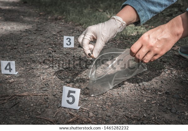 Investigator Collects Evidence Cigarette Butt Crime Stock Photo (Edit ...