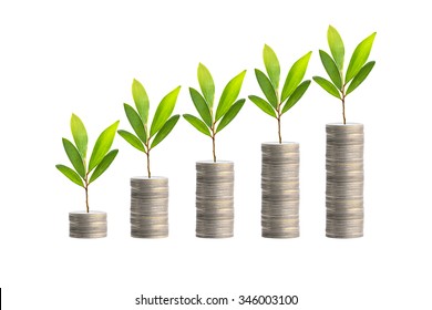 Investment concept,Trees on coins - Shutterstock ID 346003100