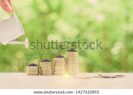 Investment for long-term sustainable growth concept : Investor pour water from a watering can to green sprout / small tree on rows of rising coins, depicts investing, wait to receive perpetual income