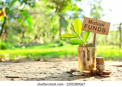 Investment on Mutual Funds concept. Coins in a jar with soil and growing plant in nature background.