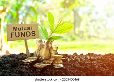 Investment On Mutual Funds Concept. Coins In A Jar With Soil And Growing Plant In Nature Background.