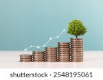 Investment and saving money concept. Coins with growing tree with uparrow of coin money for financial developments and business growth